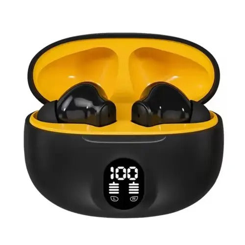 Professional Display Earbuds